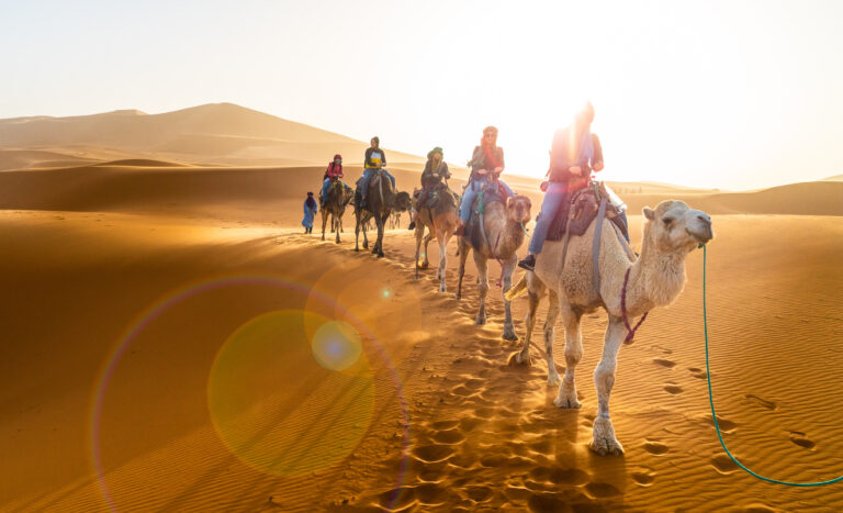 The Ultimate Guide to Moroccan Travels: Experience the Magic of North Africa’s Gem